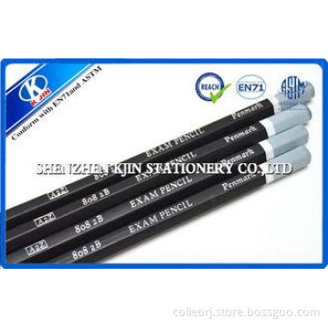 Painter 2B Sketching Pencil Set High Grade Basswood Pencil